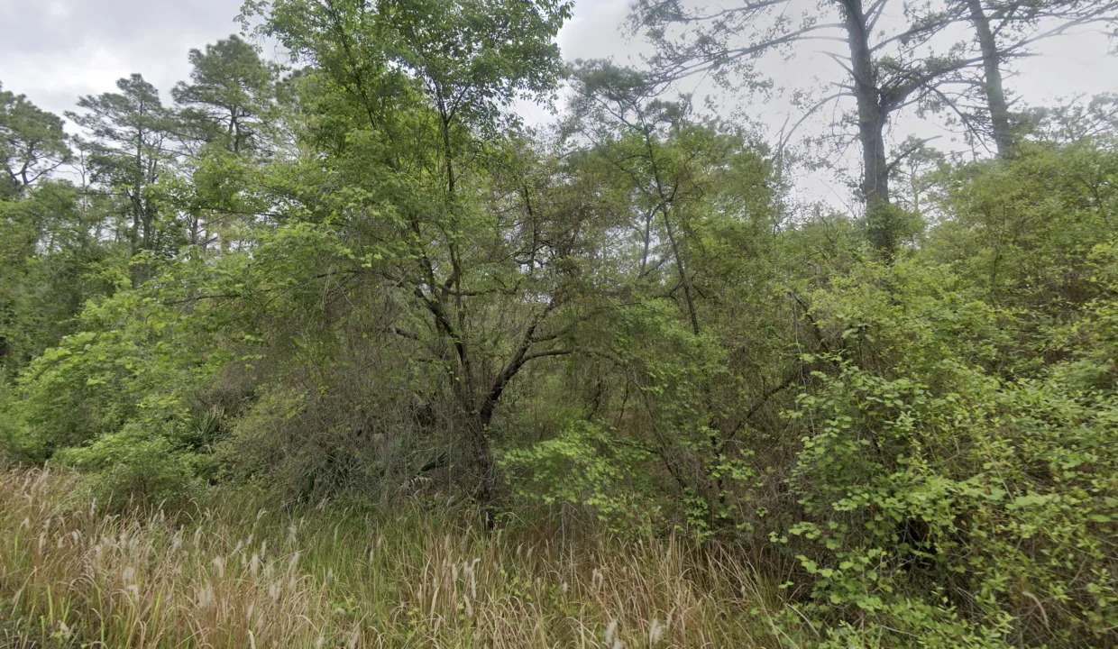 GESV-area-5