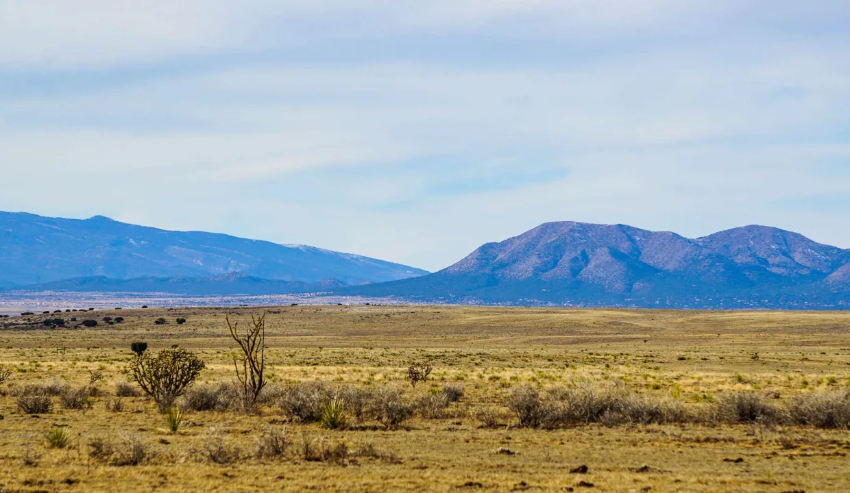 torrance-generalareaphotos-12