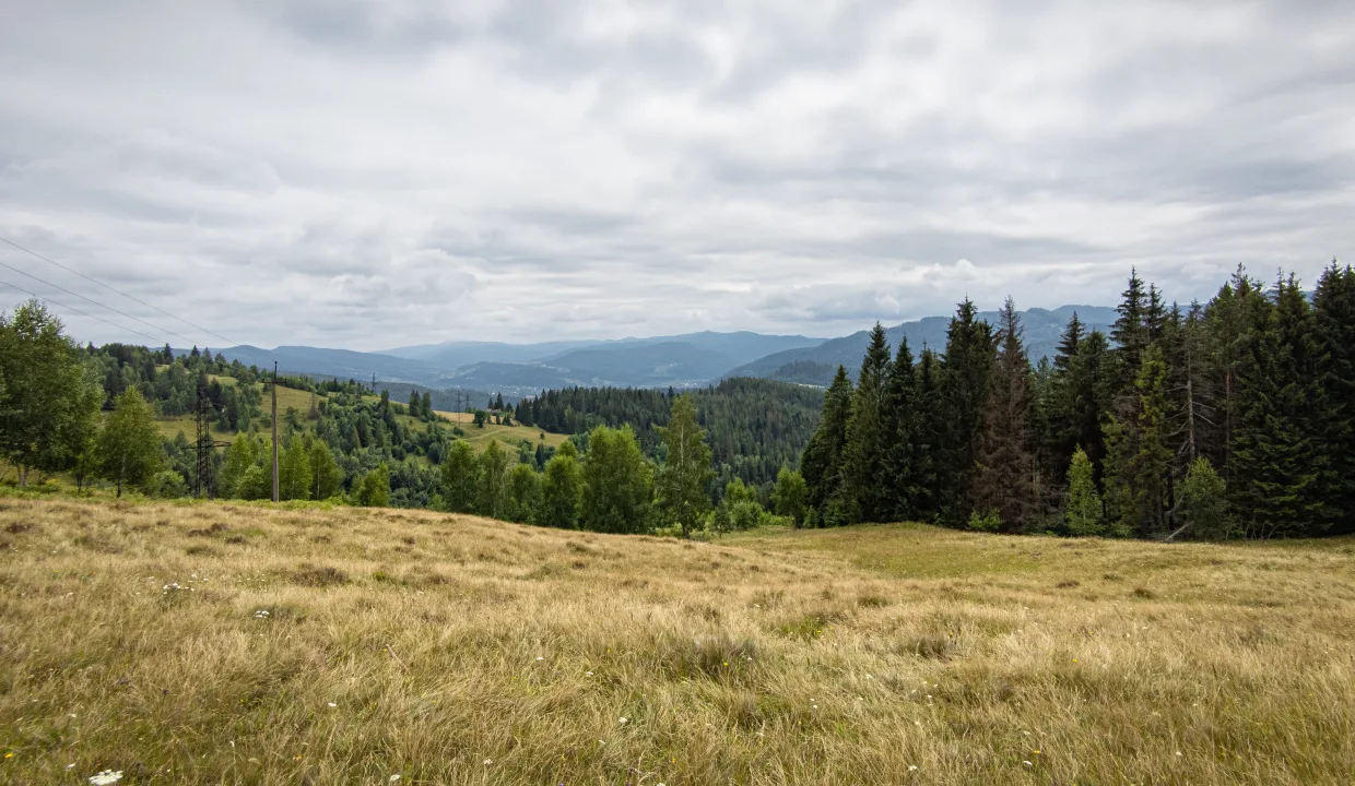 Questions To Ask When Buying Vacant Land