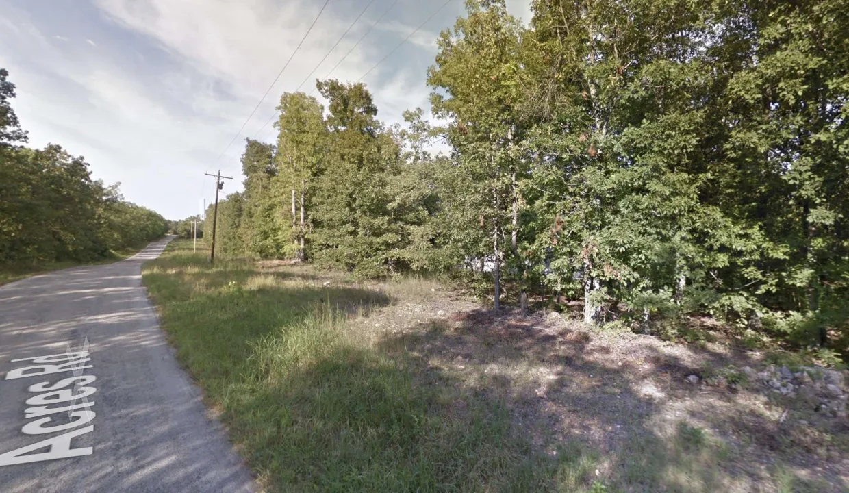 areaimage_GE_streetview 1