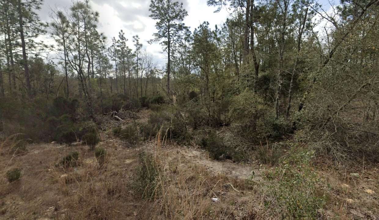 GE_streetview 3