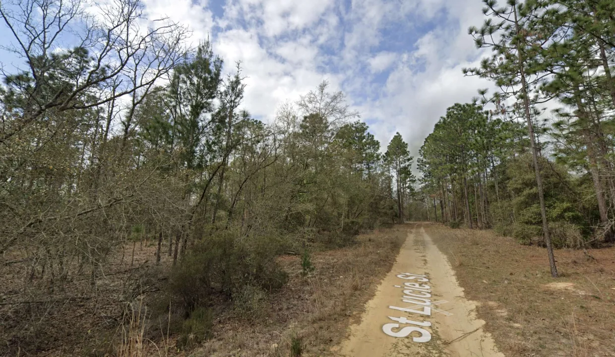 GE_streetview 5