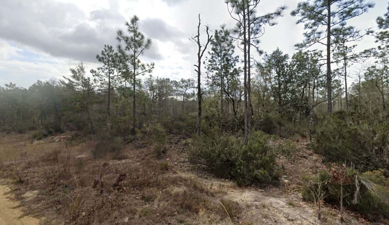 GE_streetview 6