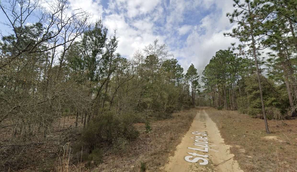 GE_streetview 5