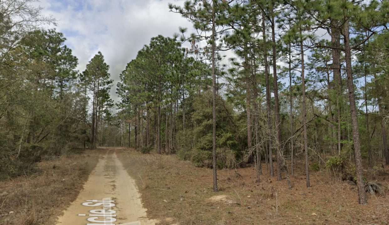 GE_streetview 1
