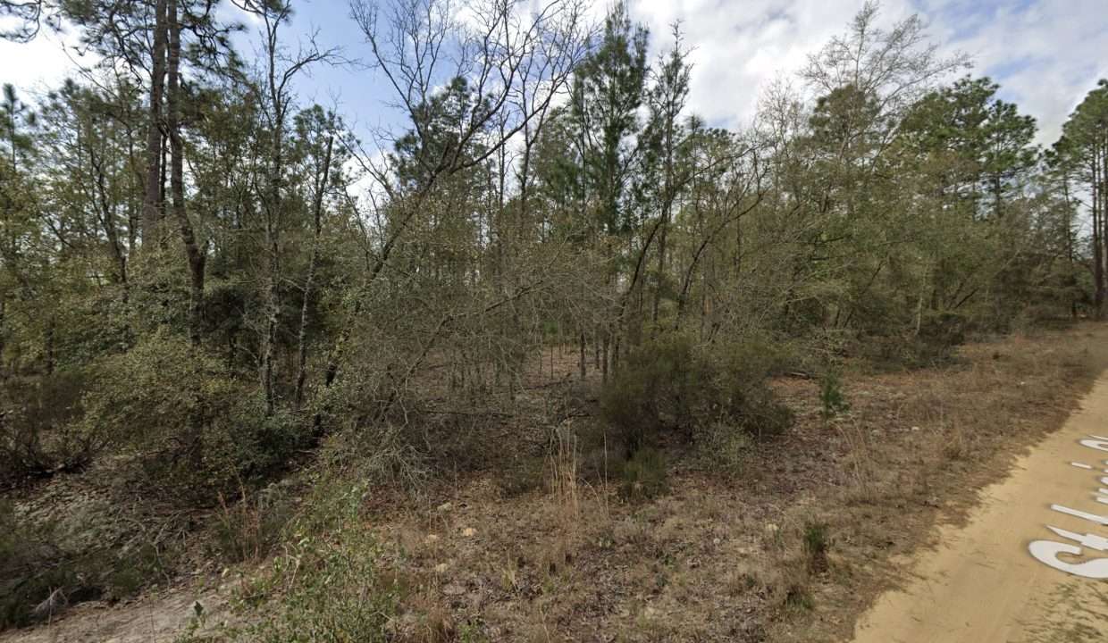 GE_streetview 4