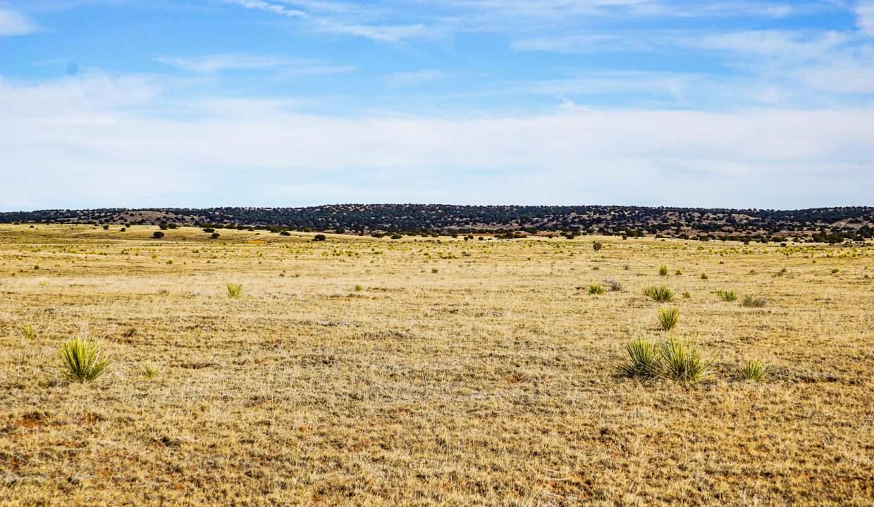 Estancia Ranchettes-areaphotos-6