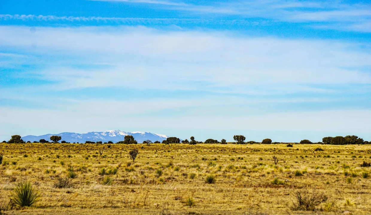 Estancia Ranchettes-areaphotos-17
