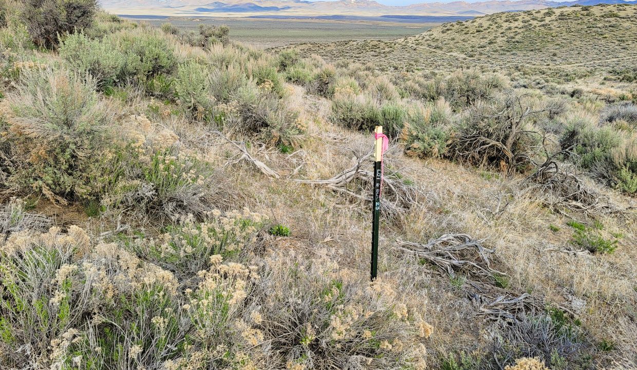 063-023-010 NE Corner Marker