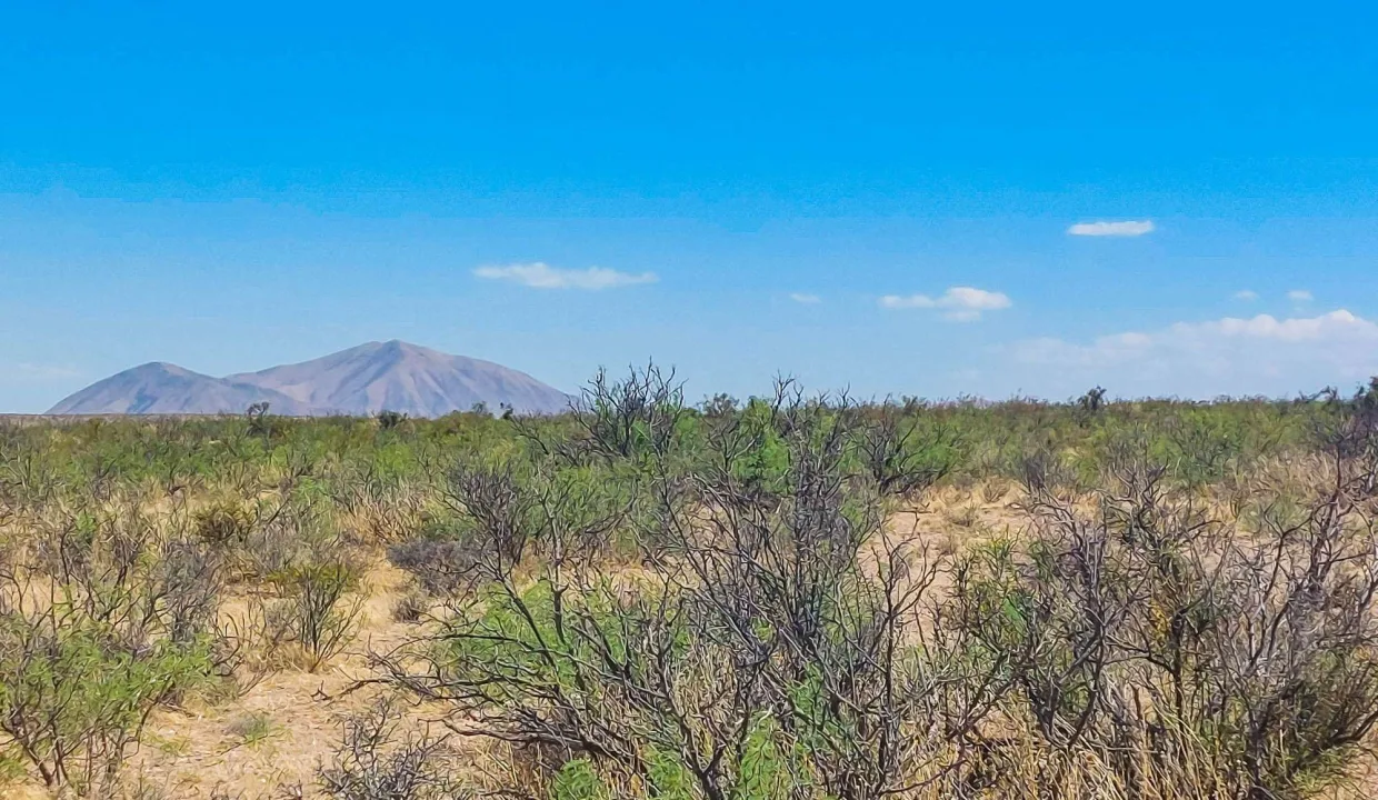 Area Image-4