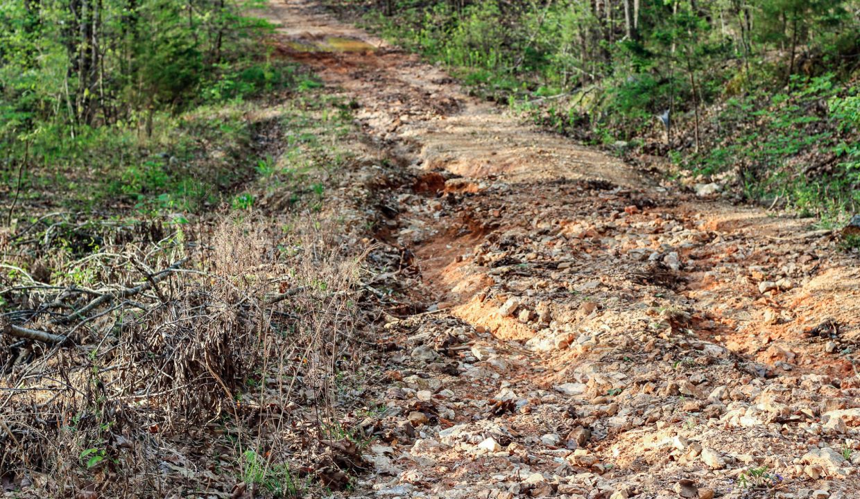 APN 454-00052-000-Access Road Going to Property