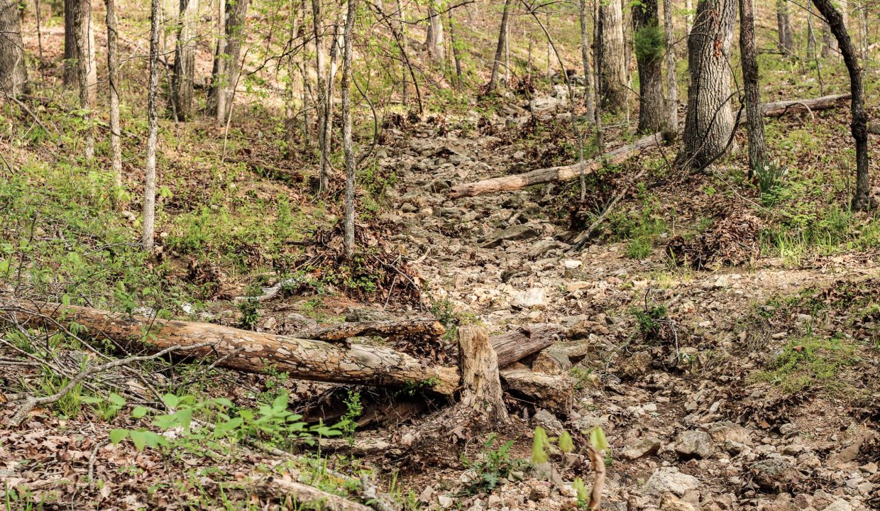 APN 454-00052-000-Ditch - Runoff