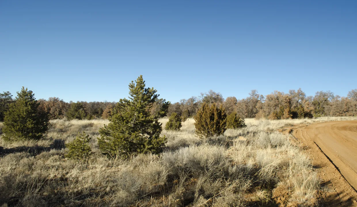 Pine Meadows Estates