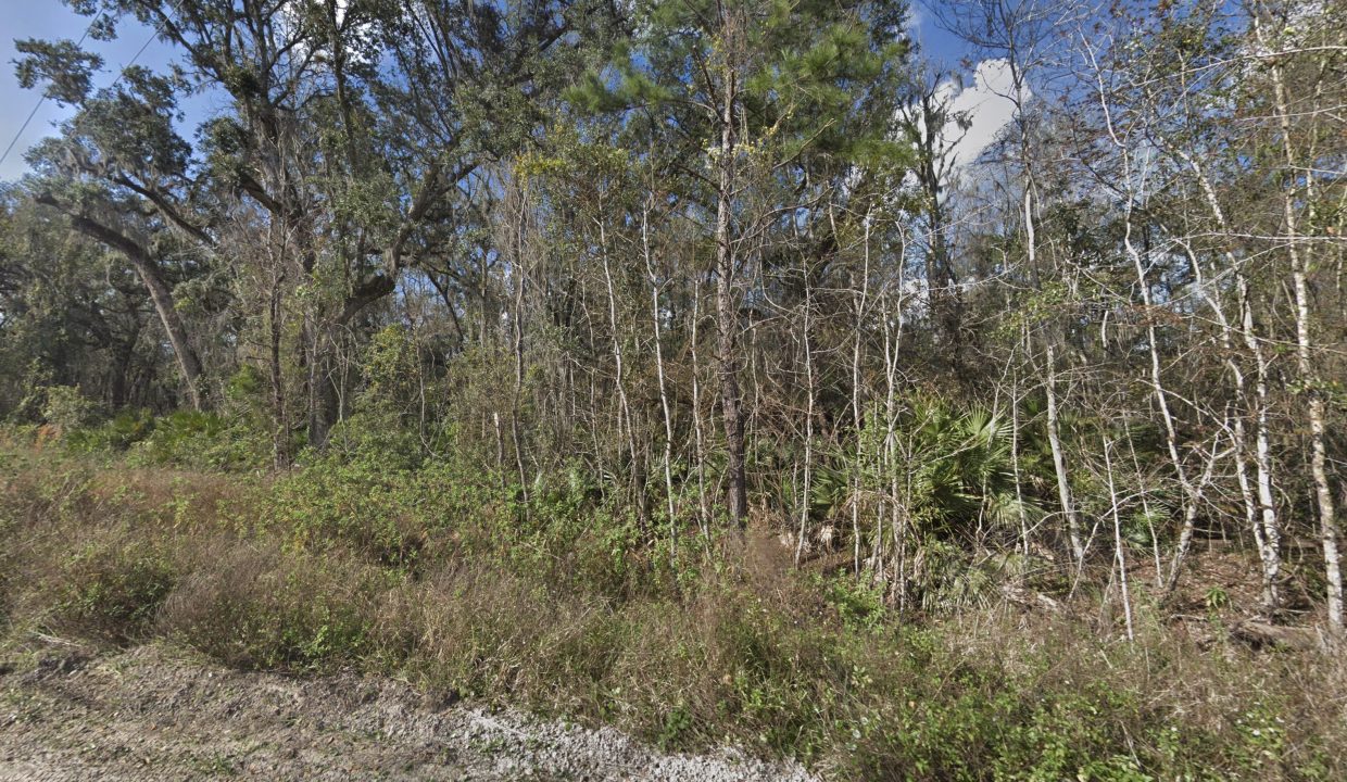 Area image 4