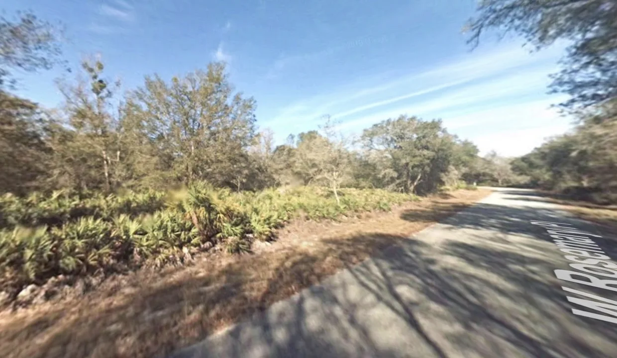 ge-streetview-4
