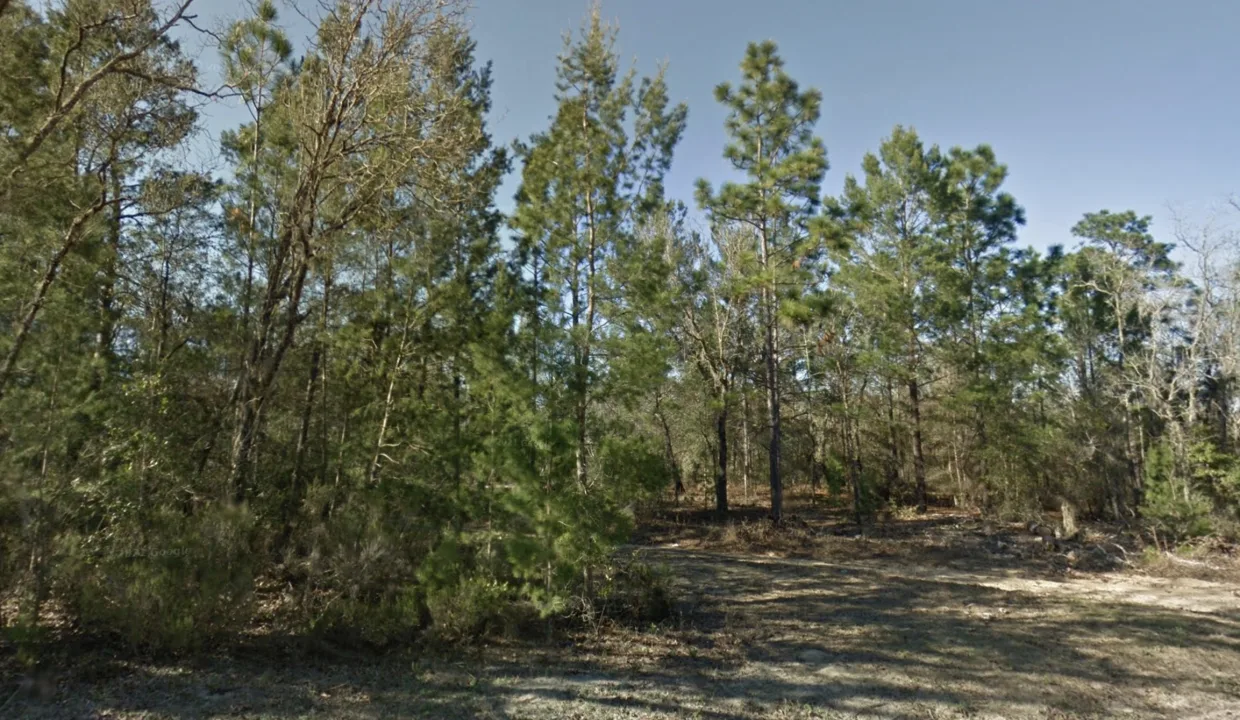 area image 1