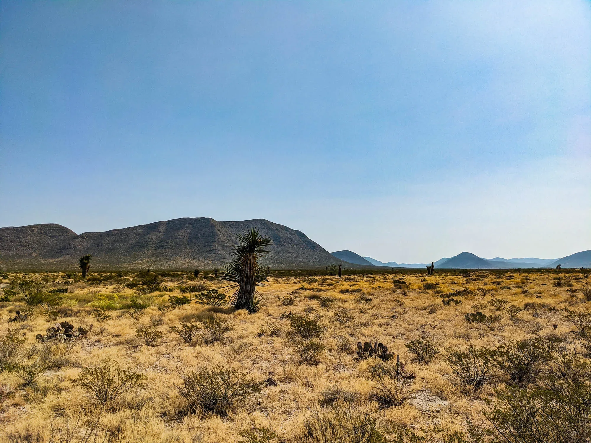El Paso Texas Franklin Mountain Trail Run Endless Adventures At