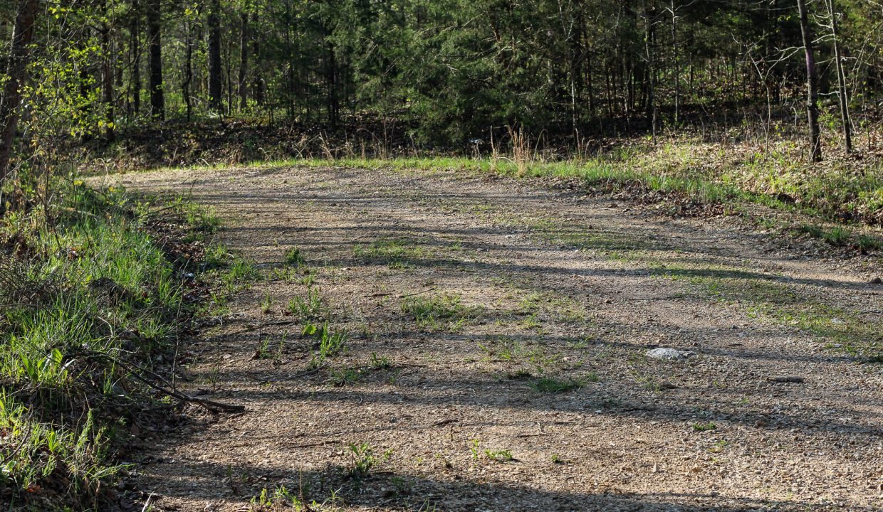 APN 456-00144-000-Road Past the Property Into the Curve