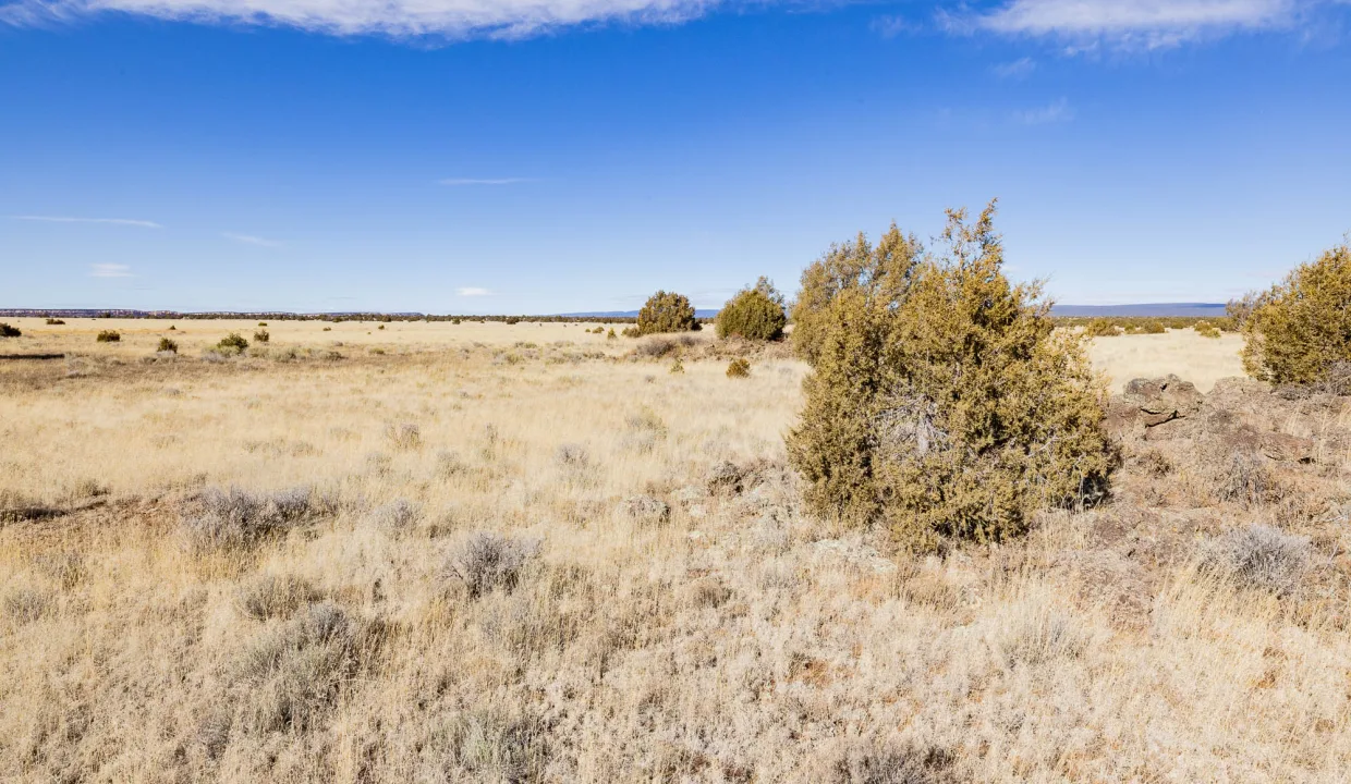 R06664-SEcorner facing NW