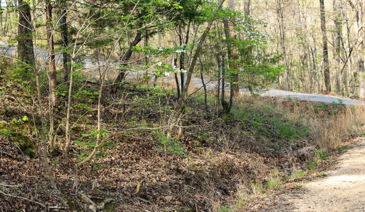 APN 502-00071-000-Paved and Dirt Road Connects here