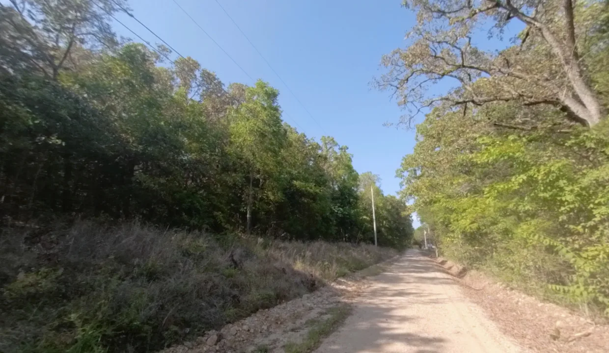 Area Image 2