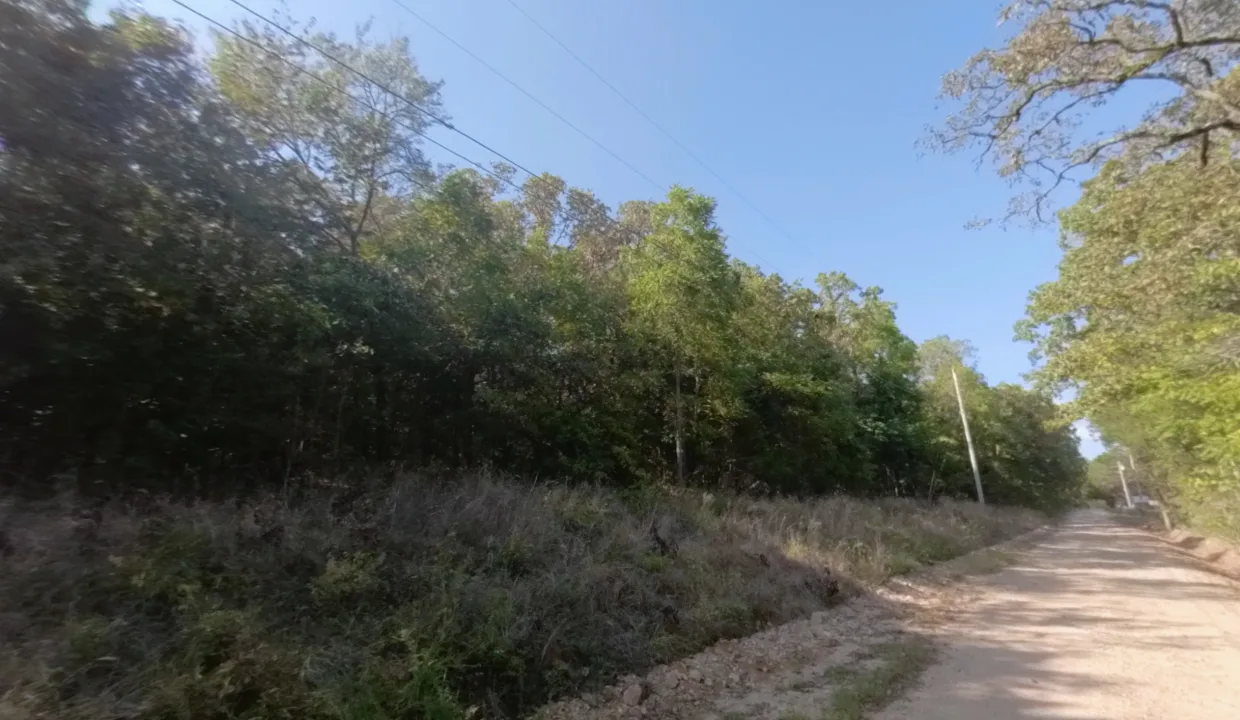 Area Image 3