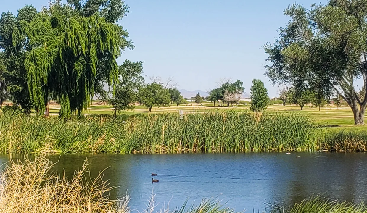 203-58-667-golf course lake