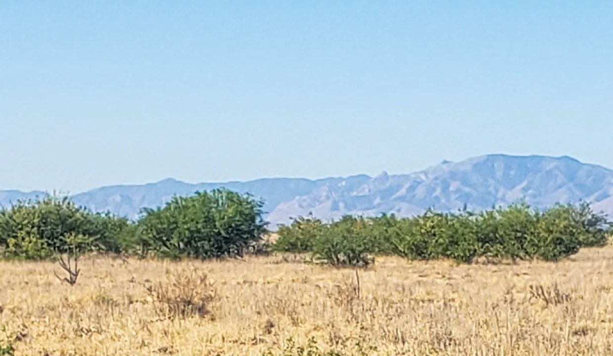 203-58-667-looking west 2