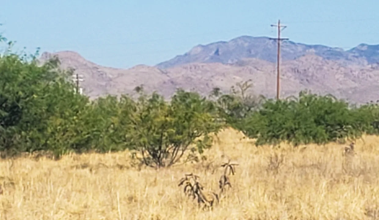 203-58-667-looking west from se