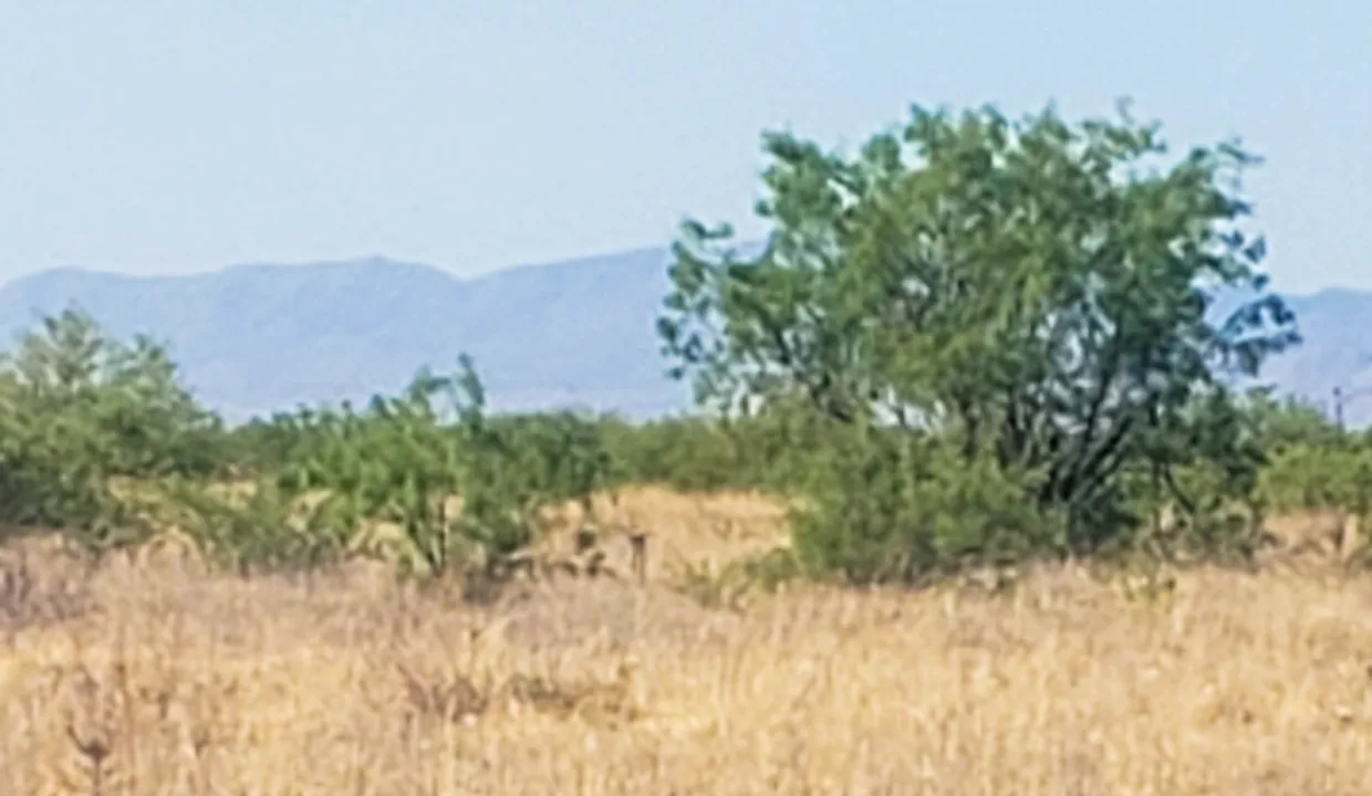 203-58-667-looking west ne corner