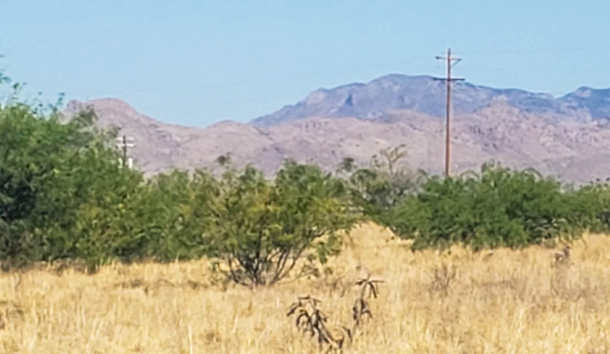 203-58-671-looking west from se