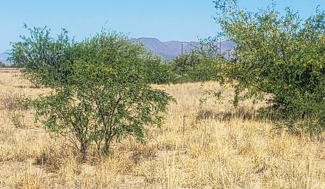 203-58-671-looking west