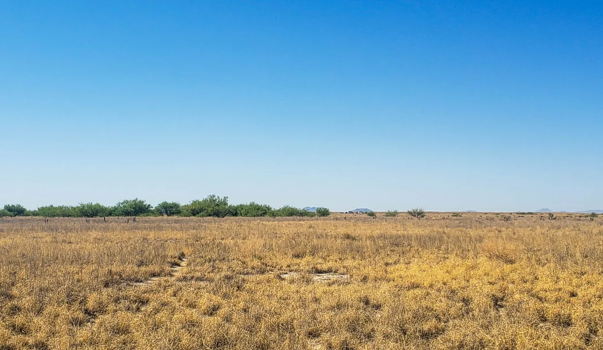 203-58-671-walking to the property
