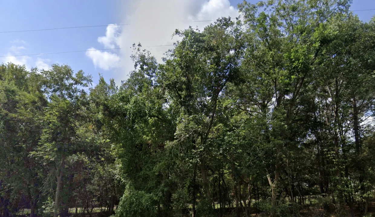 5772_GESV_nearby2