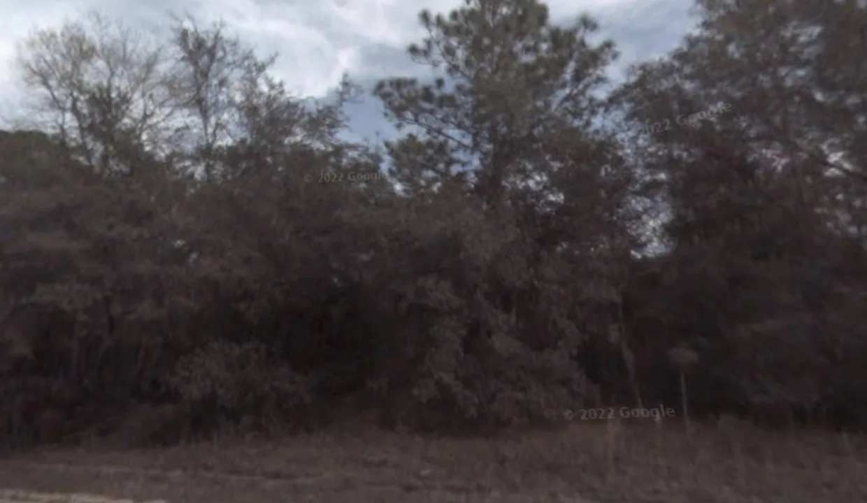 area photo 2