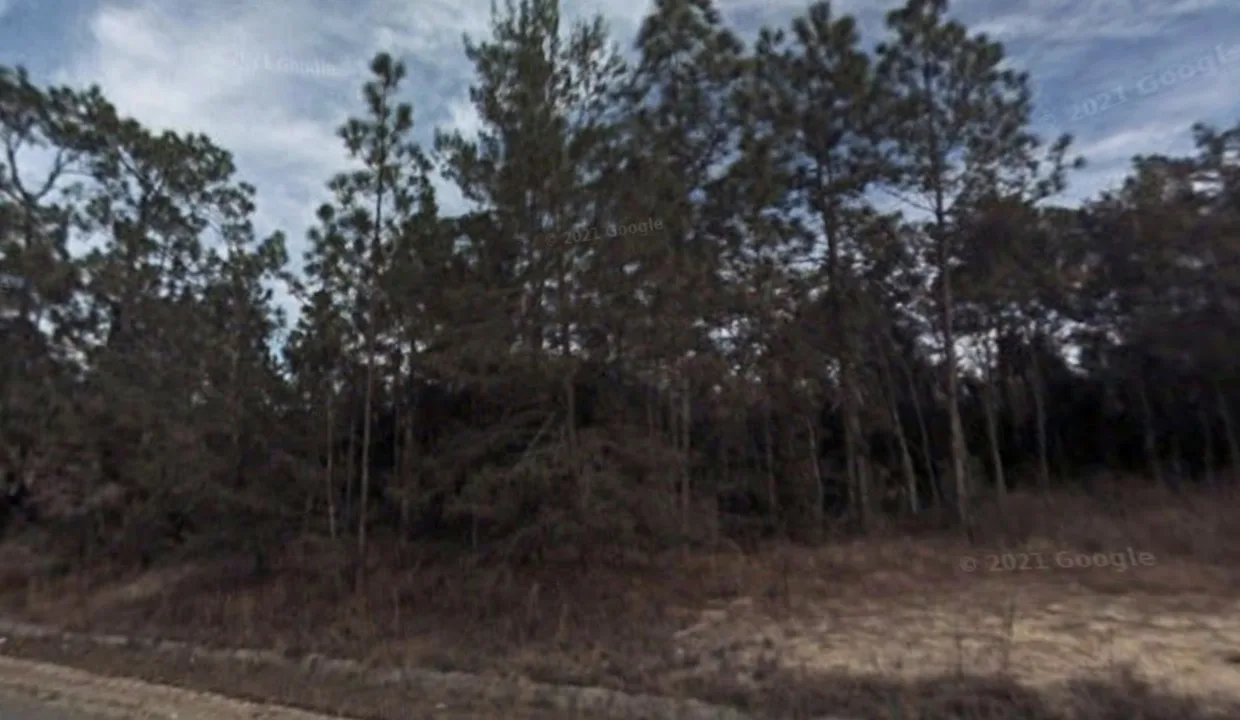 area photo 5