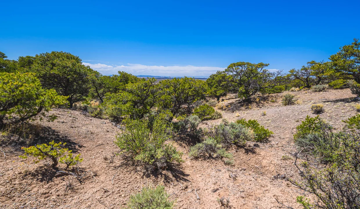 702-20-890 looking W from the NE part of the property