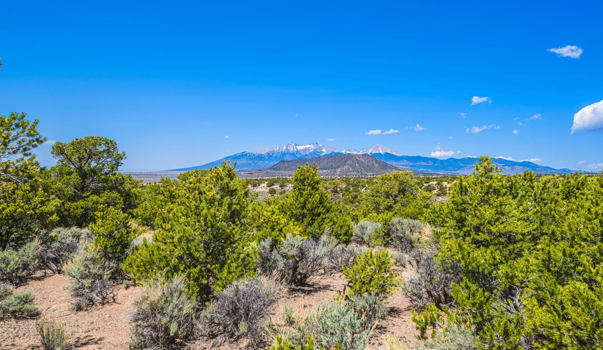 702-20-890 views to the N of Blanca Peak from the NW part of the property