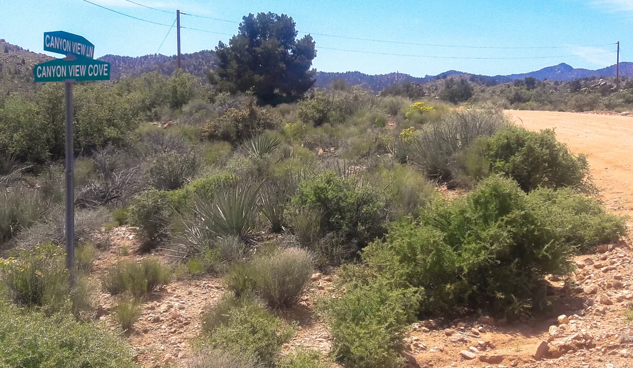 APN313-70-004 (3)TURN LEFT HERE, ITS CLOSE NOW, YOU CAN SEE THE POWER LINES AT THEIR CLOSEST POINT TO THE PROPERTY