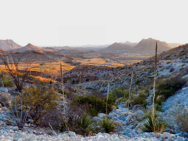Terlingua Ranch Area Image 3