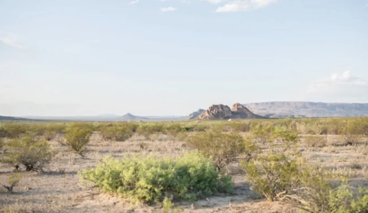 Terlingua Ranch Area Image 12