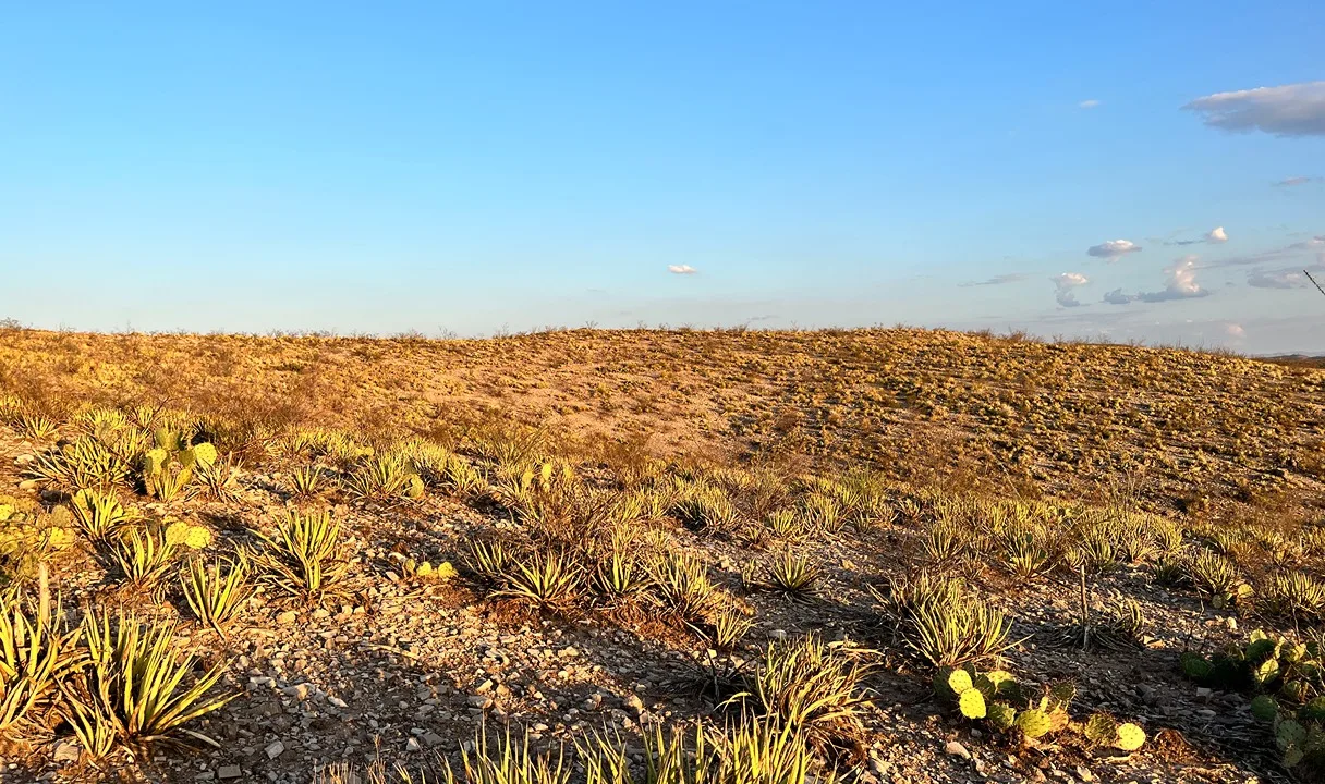 IMG_5280