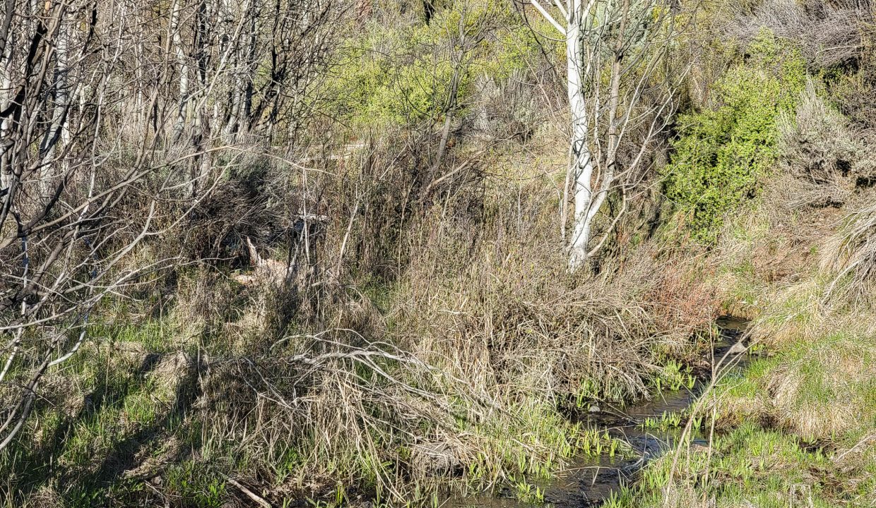 3510-014B0-03700 Creek 3