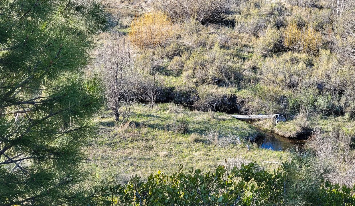3510-014B0-03700 Meadow creek 2