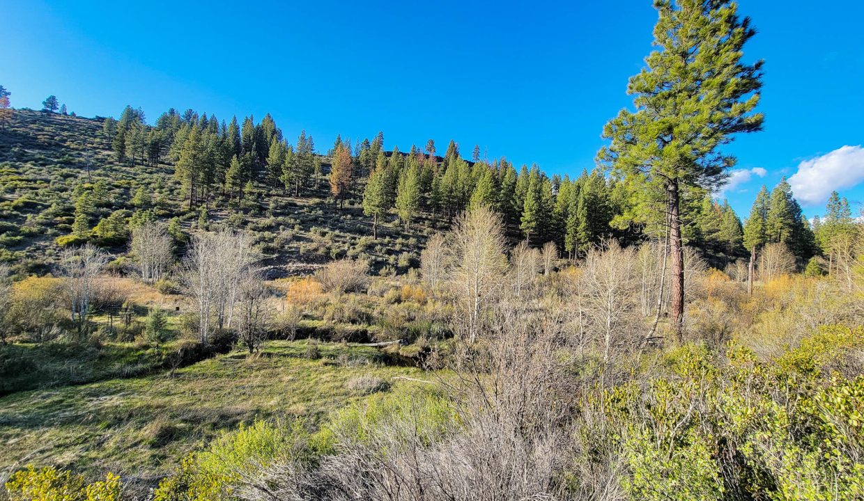 3510-014B0-03700 Meadow creek 3