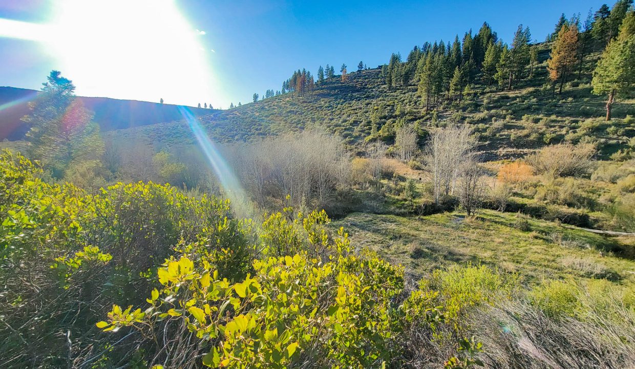 3510-014B0-03700 Meadow creek 4