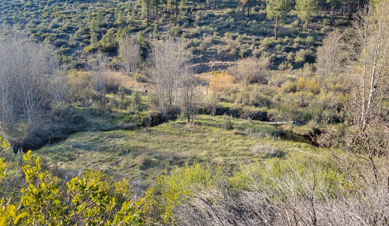 3510-014B0-03700 Meadow creek 5