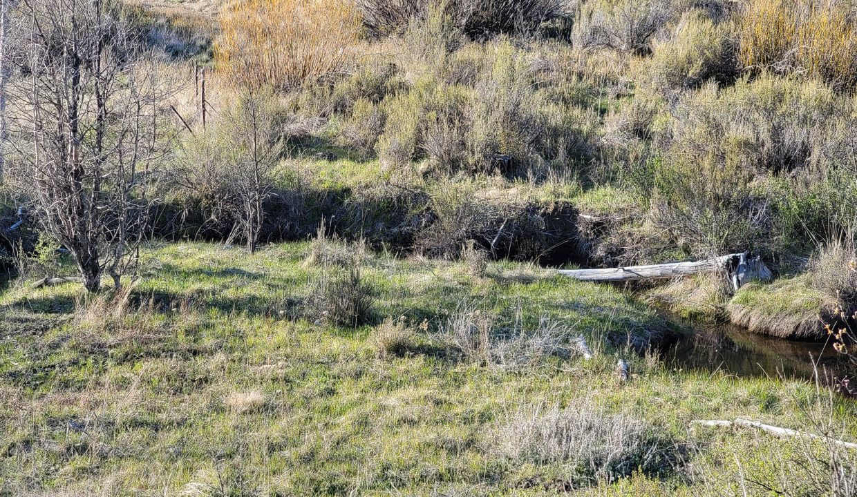 3510-014B0-03700 Meadow creek 6