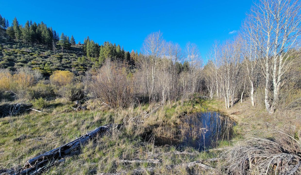 3510-014B0-03700 Meadow creek 12