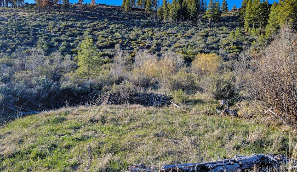 3510-014B0-03700 Meadow creek 14